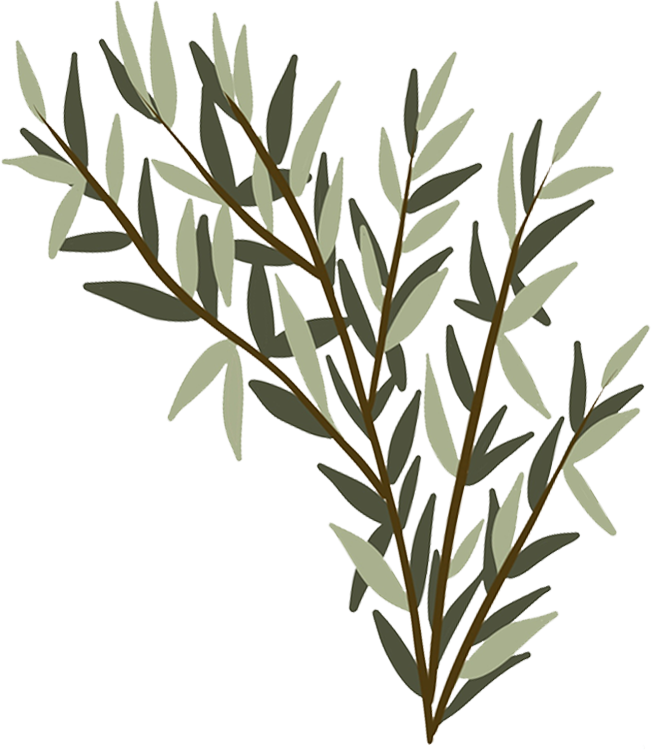 Home Longmont Veterinary Urgent Care